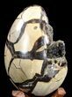 Septarian Dragon Egg Geode - Black Crystals #37297-4